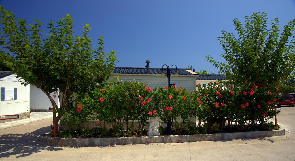 Camping Los Pinos Peniscola Exterior photo