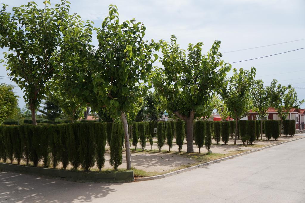 Camping Los Pinos Peniscola Exterior photo