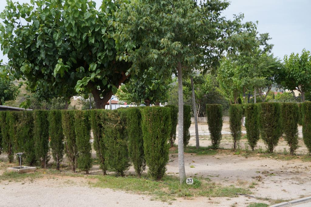 Camping Los Pinos Peniscola Exterior photo